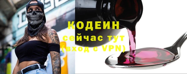 тгк Корсаков