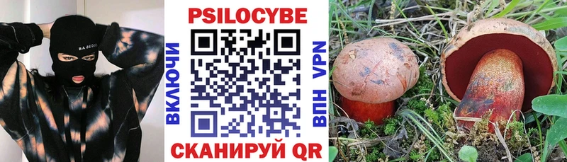 Купить где  Северодвинск  Псилоцибиновые грибы прущие грибы 
