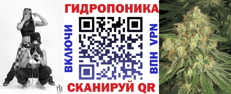 Марихуана план  Купить  Северодвинск 